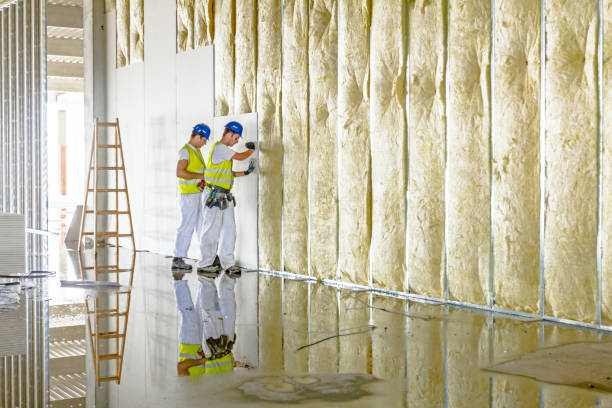 Best Eco-Friendly Insulation in Rio Dell, CA